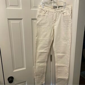 NWT Everlane The Mid Rise Skinny Jean 28T